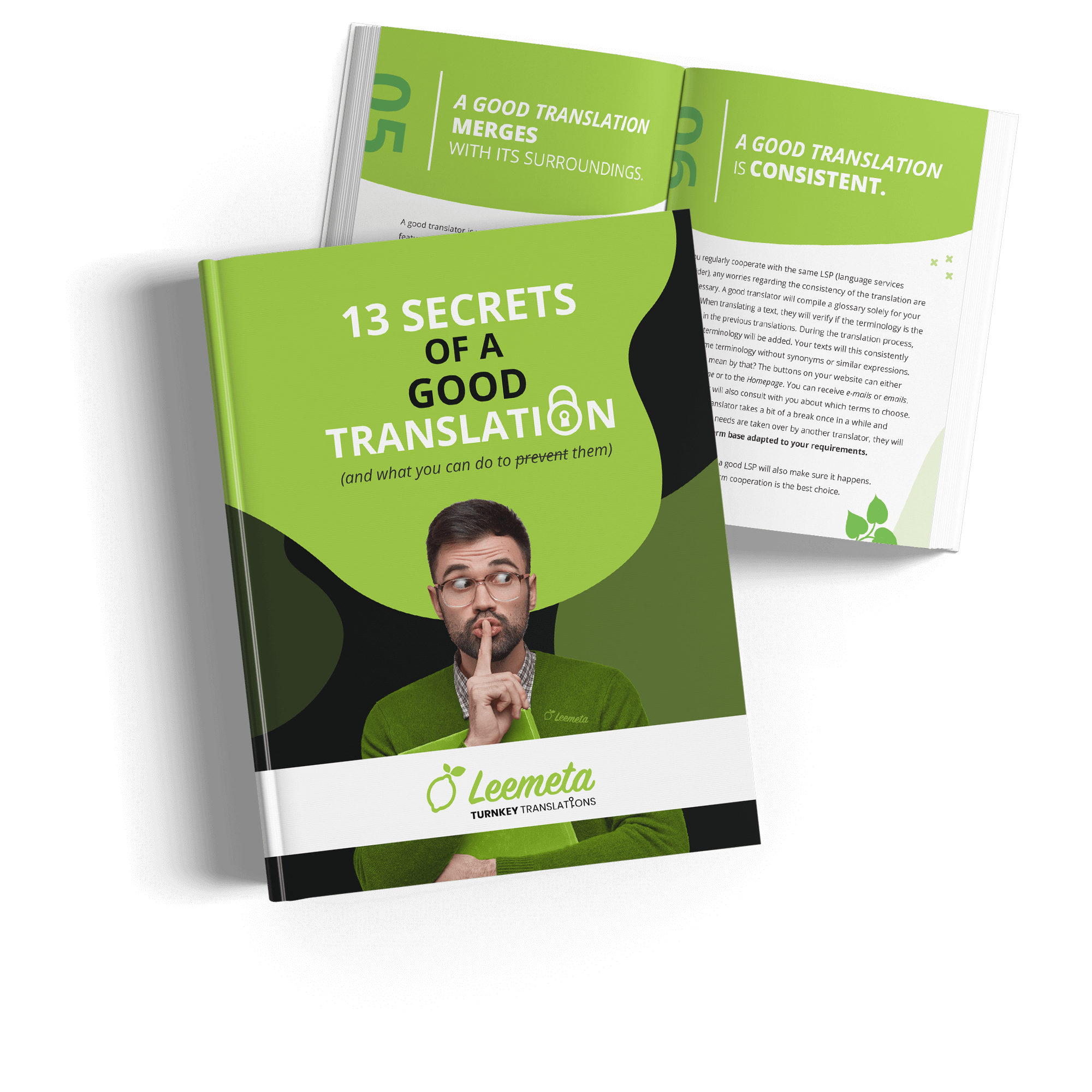 e-book, 13 secrets, translation, translating, secrets of a good translation, translation agencies